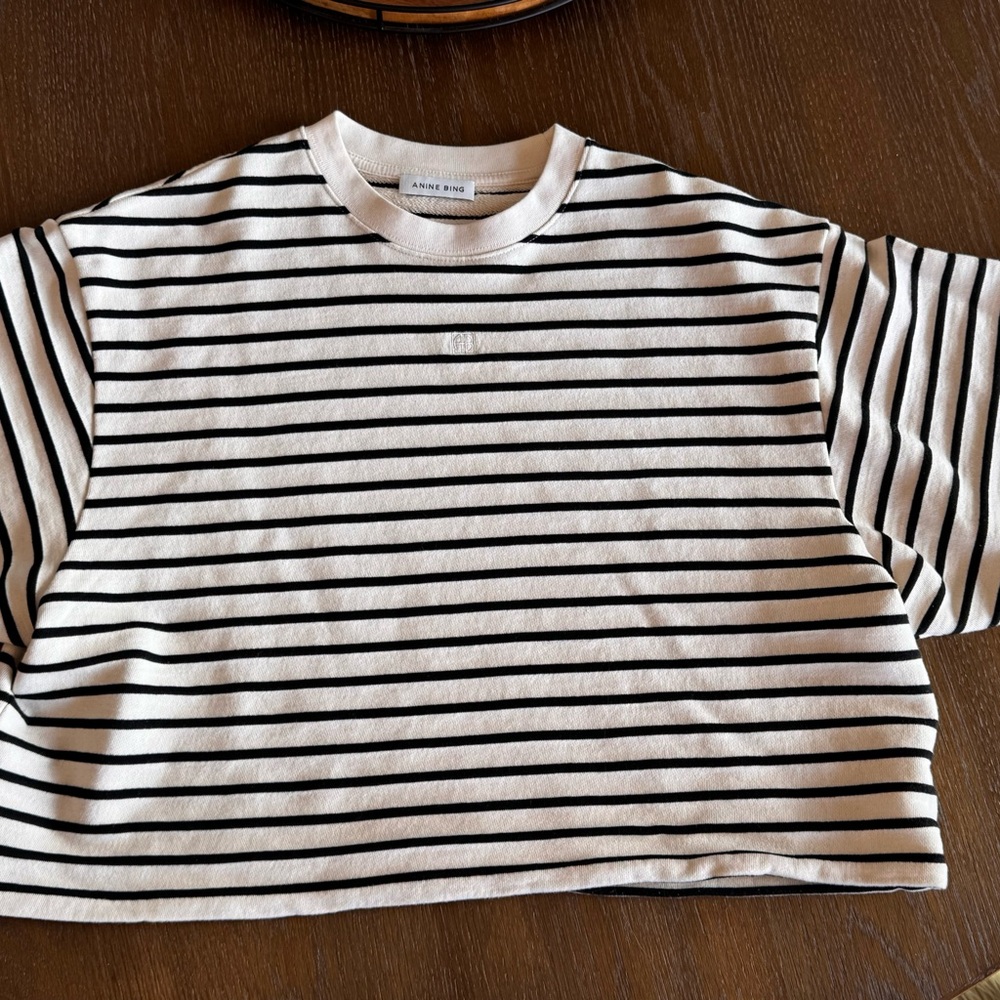 Anine Bing Myers Cropped Tee in Black stripe French Terry